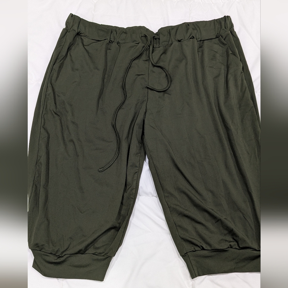 Capri Pants - Picture 2 of 2